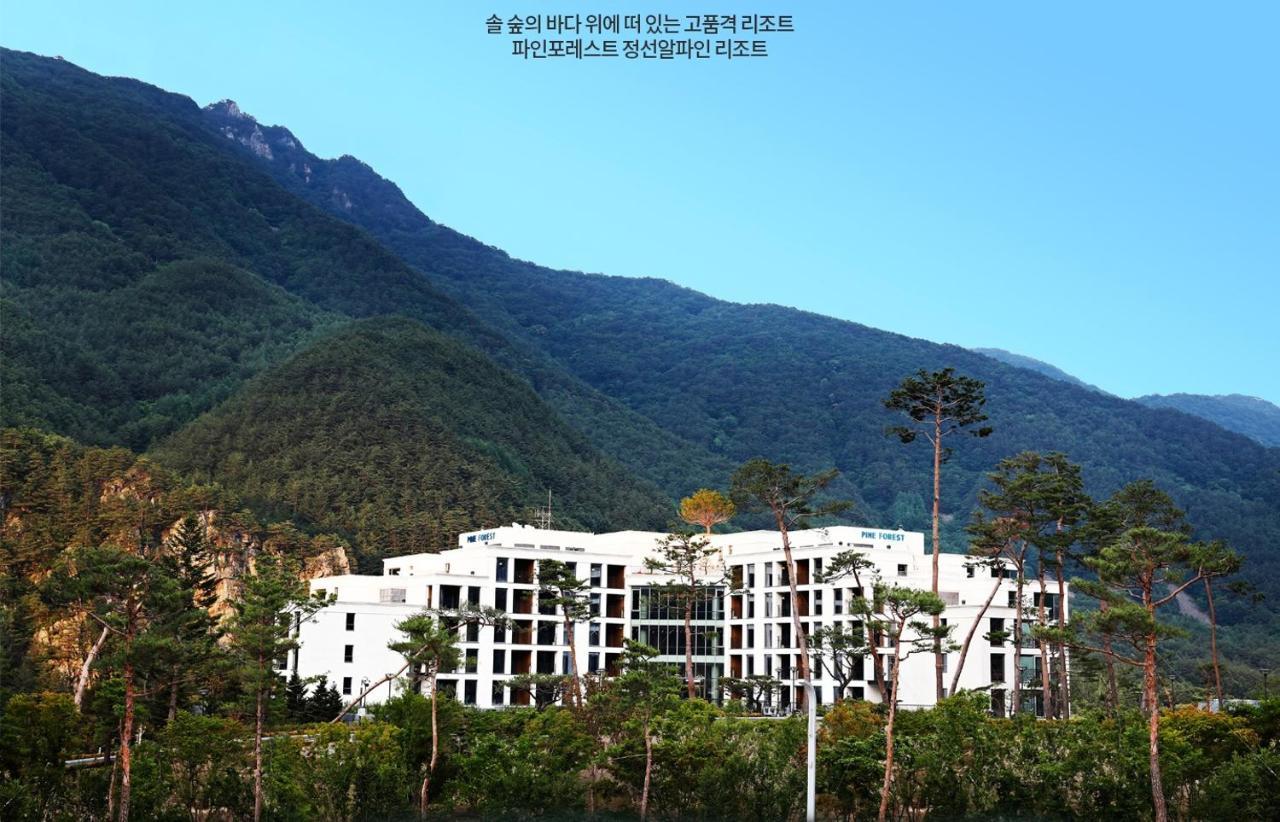 Pine Forest Jeongseon Alpine Resort Kültér fotó